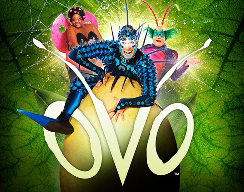 More Info for Cirque du Soleil Brings Thrilling OVO Production to Columbia 